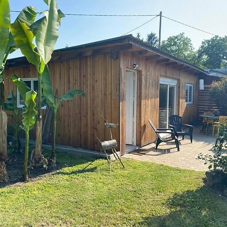 Gite Vogelau Schiltigheim Esterno foto