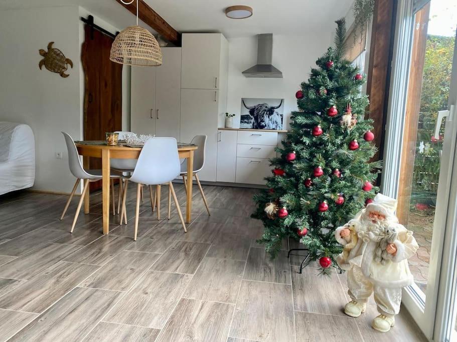 Gite Vogelau Schiltigheim Esterno foto