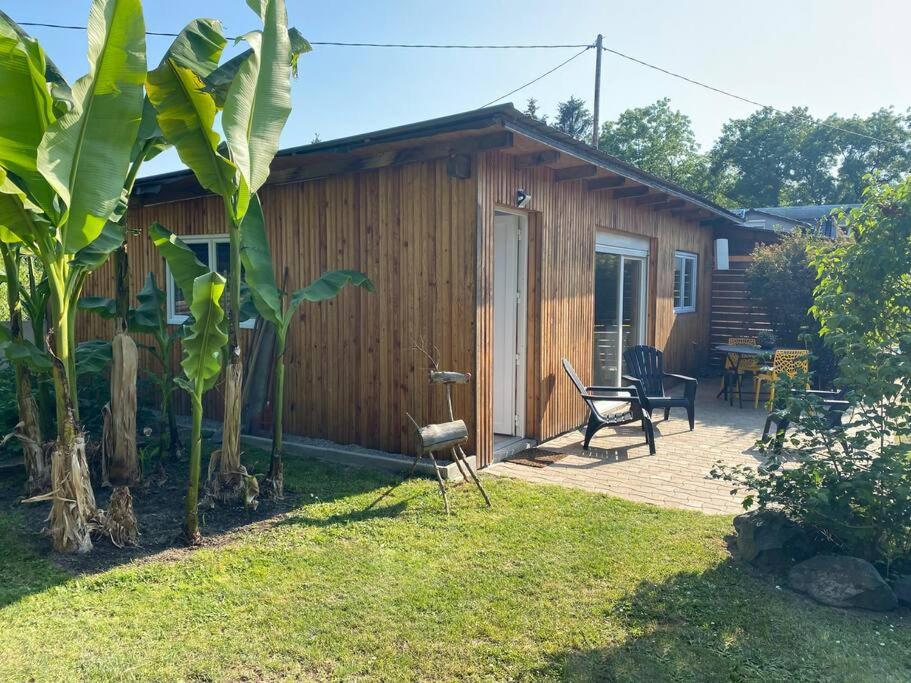 Gite Vogelau Schiltigheim Esterno foto